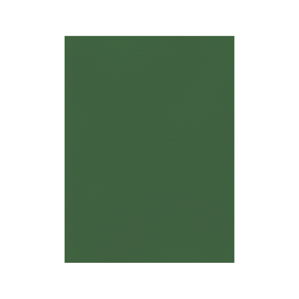 FAVINI ΧΑΡΤΟΝΙ 70x100cm 220gsm ΠΡΑΣΙΝΟ ΣΚΟΥΡΟ Νο17