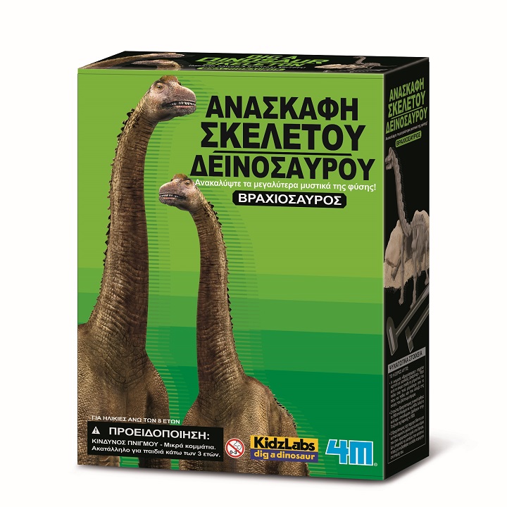 ΑΝΑΣΚΑΦΗ ΒΡΑΧΙΟΣΑΥΡΟΣ ΑΝΑΣΚΑΦΗ ΒΡΑΧΙΟΣΑΥΡΟΣ