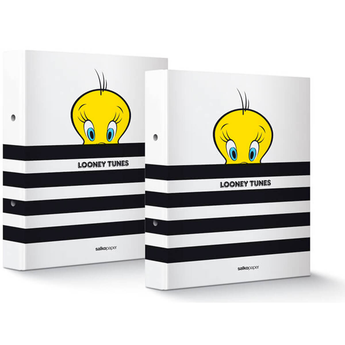 ΚΛΑΣΕΡ ΣΧΟΛΙΚΑ 17X25 LOONEY TUNES
