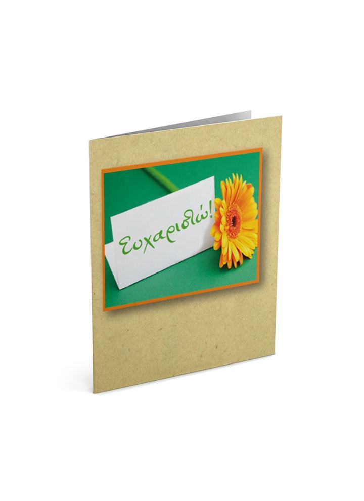 ΚΑΡΤ. ΕΥΧ. ΕΥΧΑΡΙΣΤΩ 9*11.50