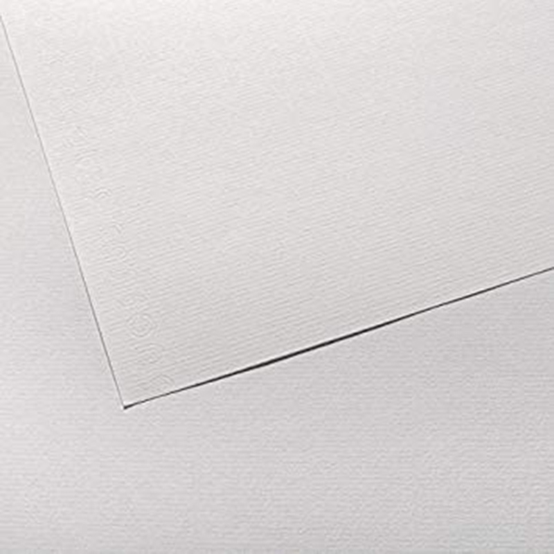 ΧΑΡΤΙ CANSON INGRES 50x65 100gr WHITE ΧΑΡΤΙ CANSON INGRES 50x65 100gr WHITE