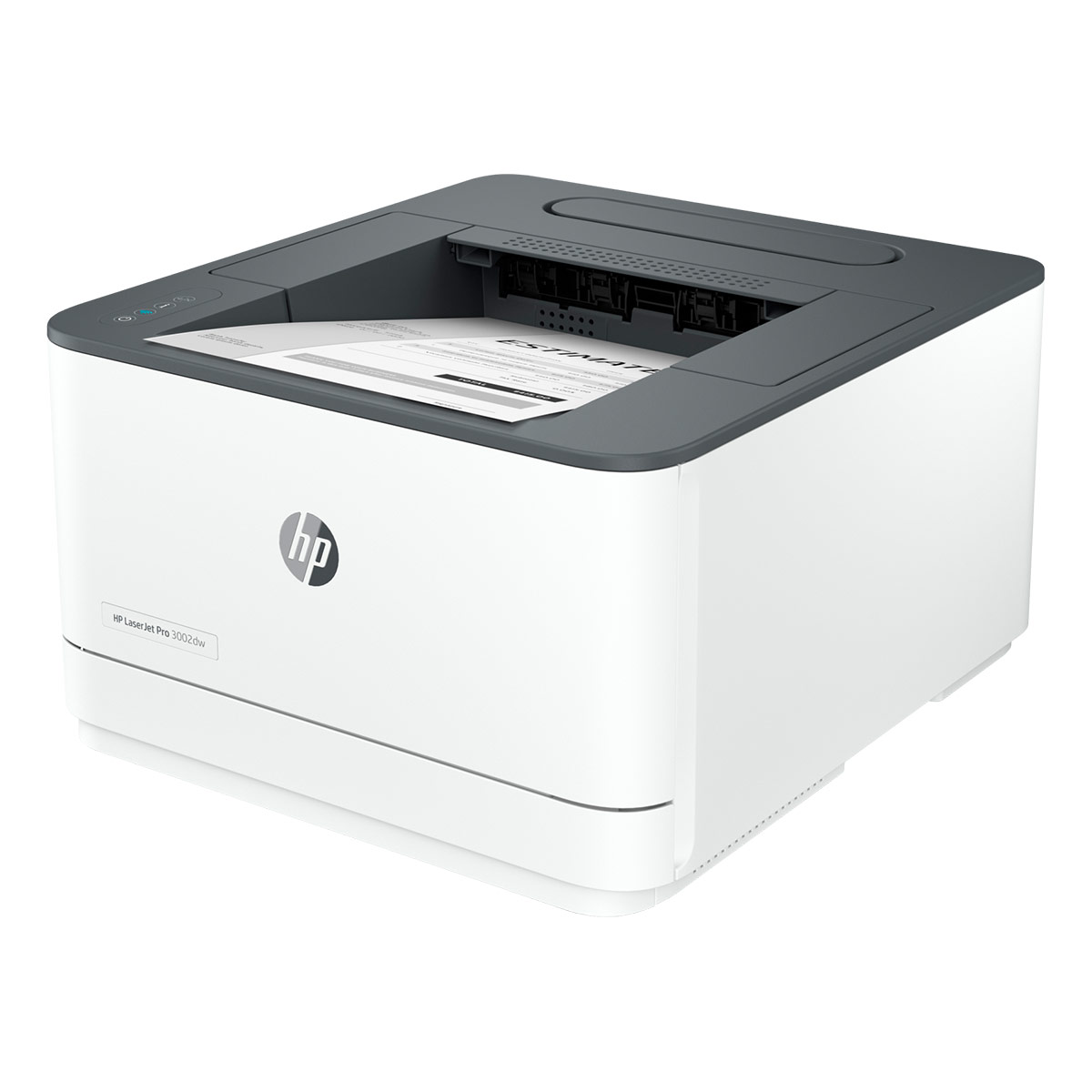 HP LaserJet Pro 3002dw Printer - 3G652F