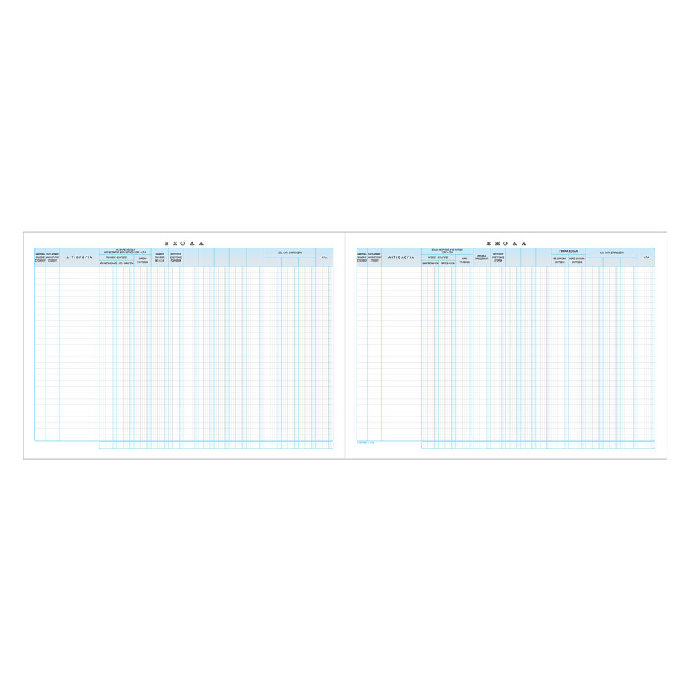 TYPOTRUST ΒΙΒΛΙΟ ΕΣΟΔΩΝ-ΕΞΟΔΩΝ 30x43cm 100 ΦΥΛΛΑ B